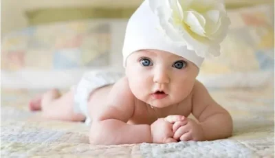 Tüp Bebek (IVF)