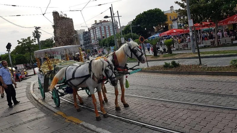(June 1 - June 8) - Antalya City Tour Skill Hands in Turkey